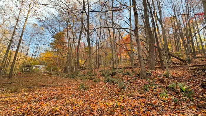 Recreational land with mixed habitat in southern Ohio