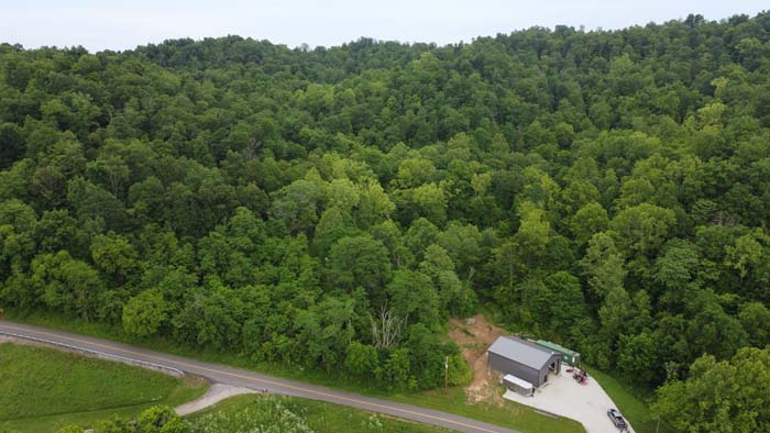 persimmon trees providing food for deer and wildlife
