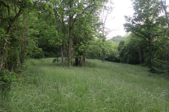 deep hollow providing bedding cover and secluded access