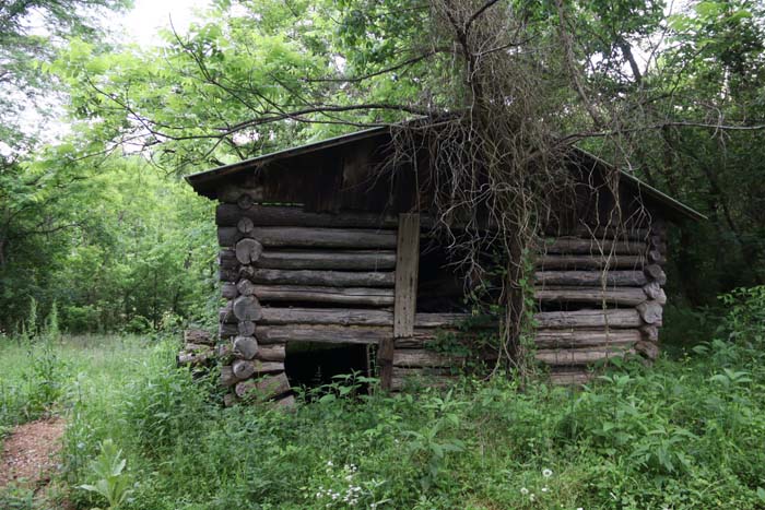 stand location in wooded saddle near bedding cover