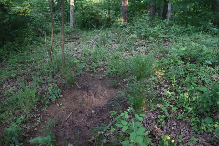 feeder site placed at travel corridor intersection