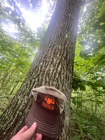 internal trail system through hardwoods on hunting land