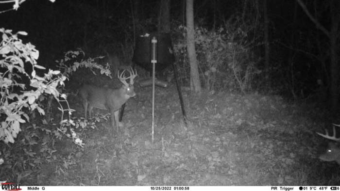 cover food plot expansion potential