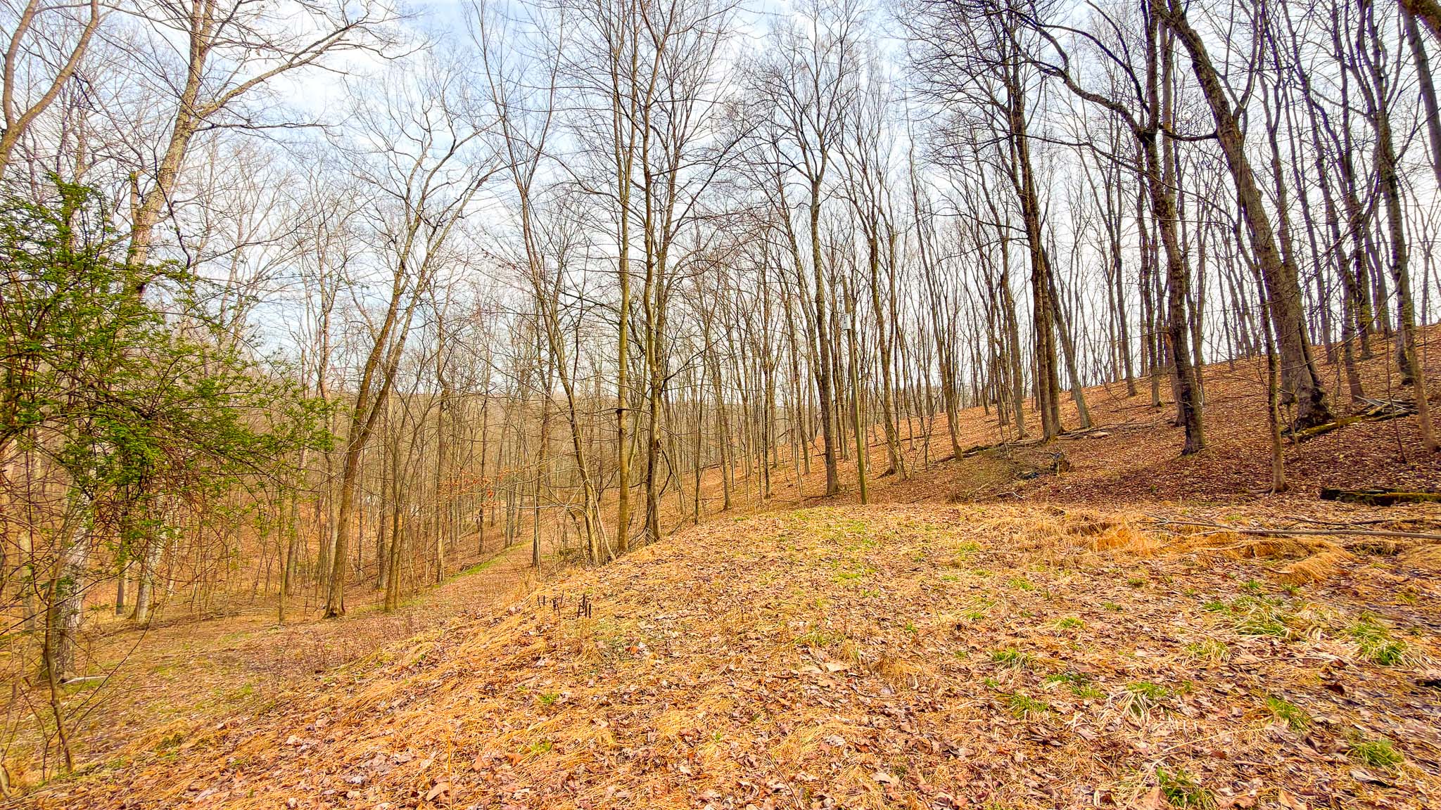 31 acre wooded land Chillicothe Ohio