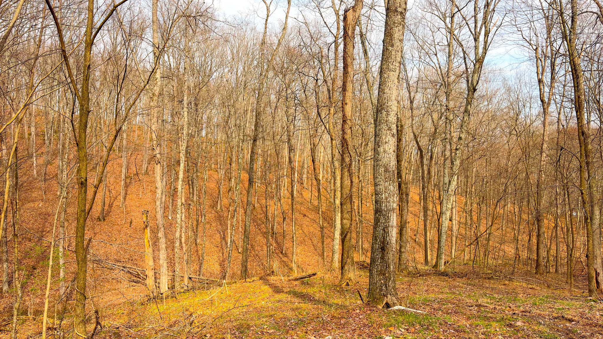 Hilltop build location Ohio