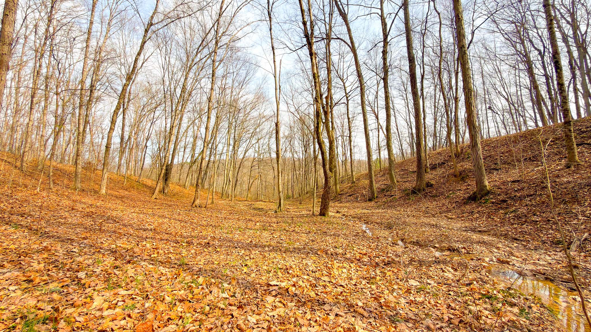 Secluded building opportunity land