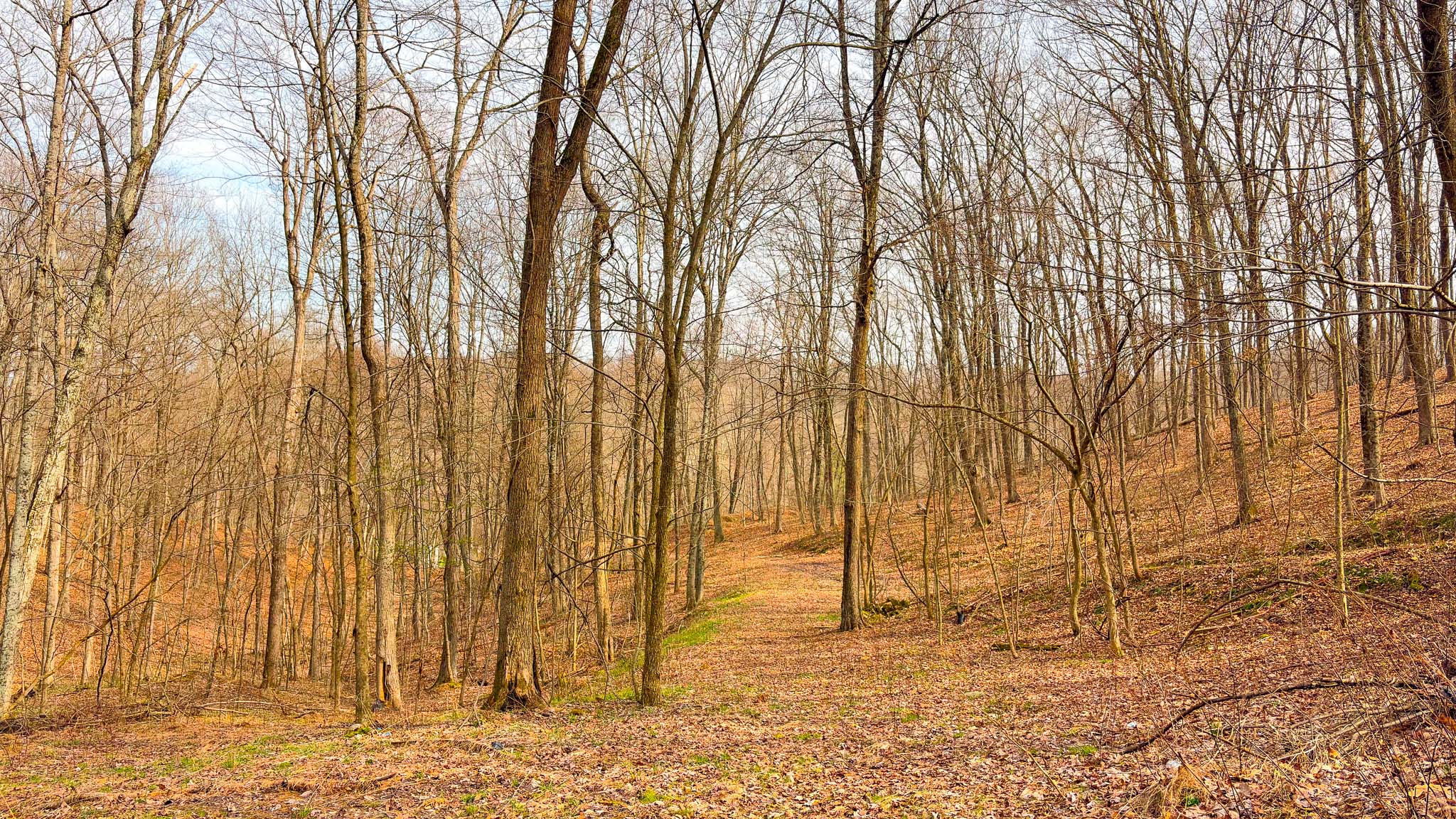 Ross County wooded property