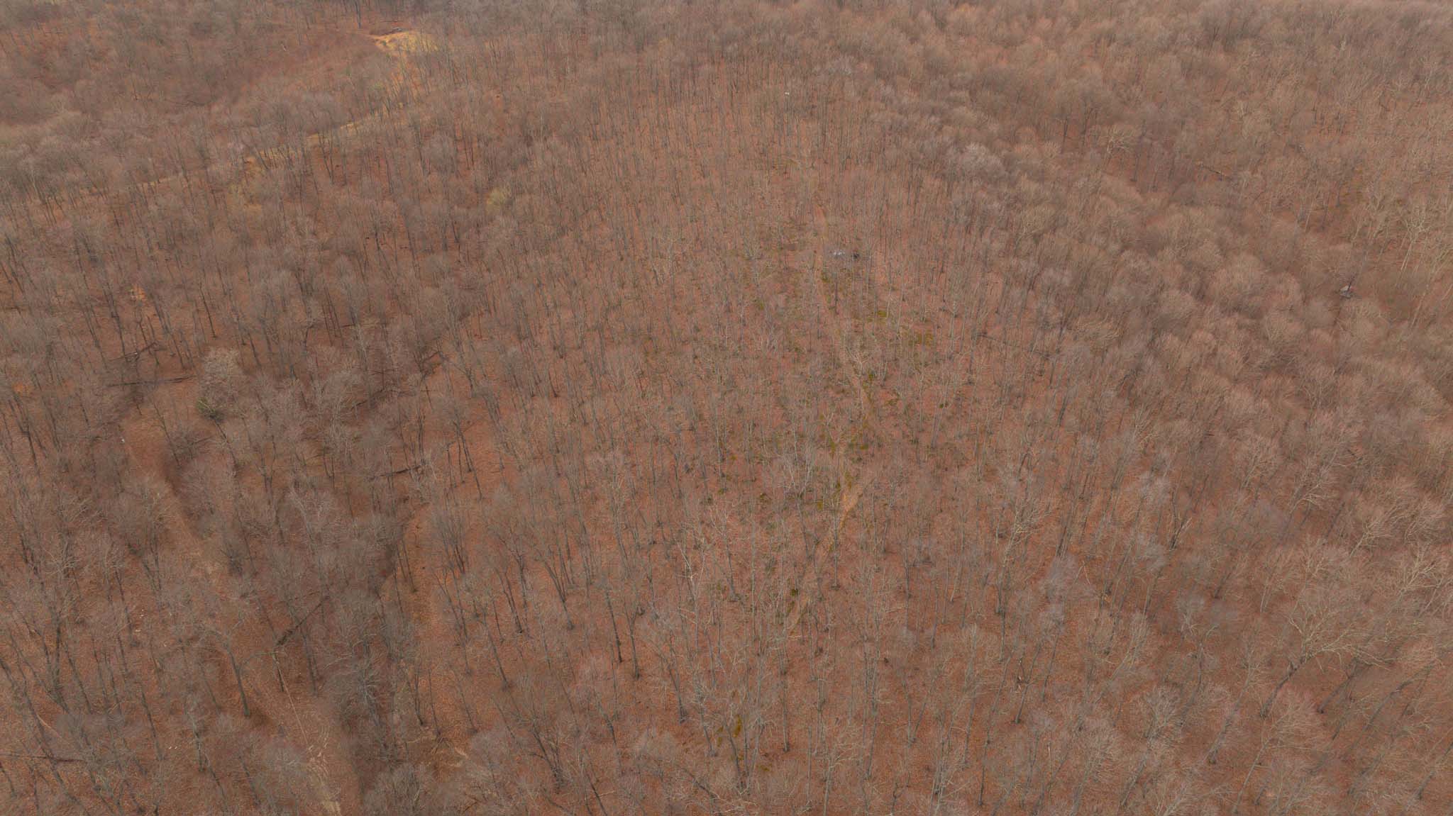 Country home site wooded setting