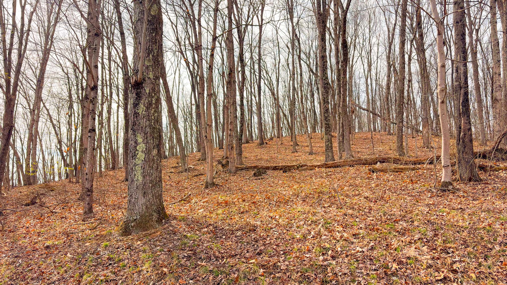 ATV trail access forest land