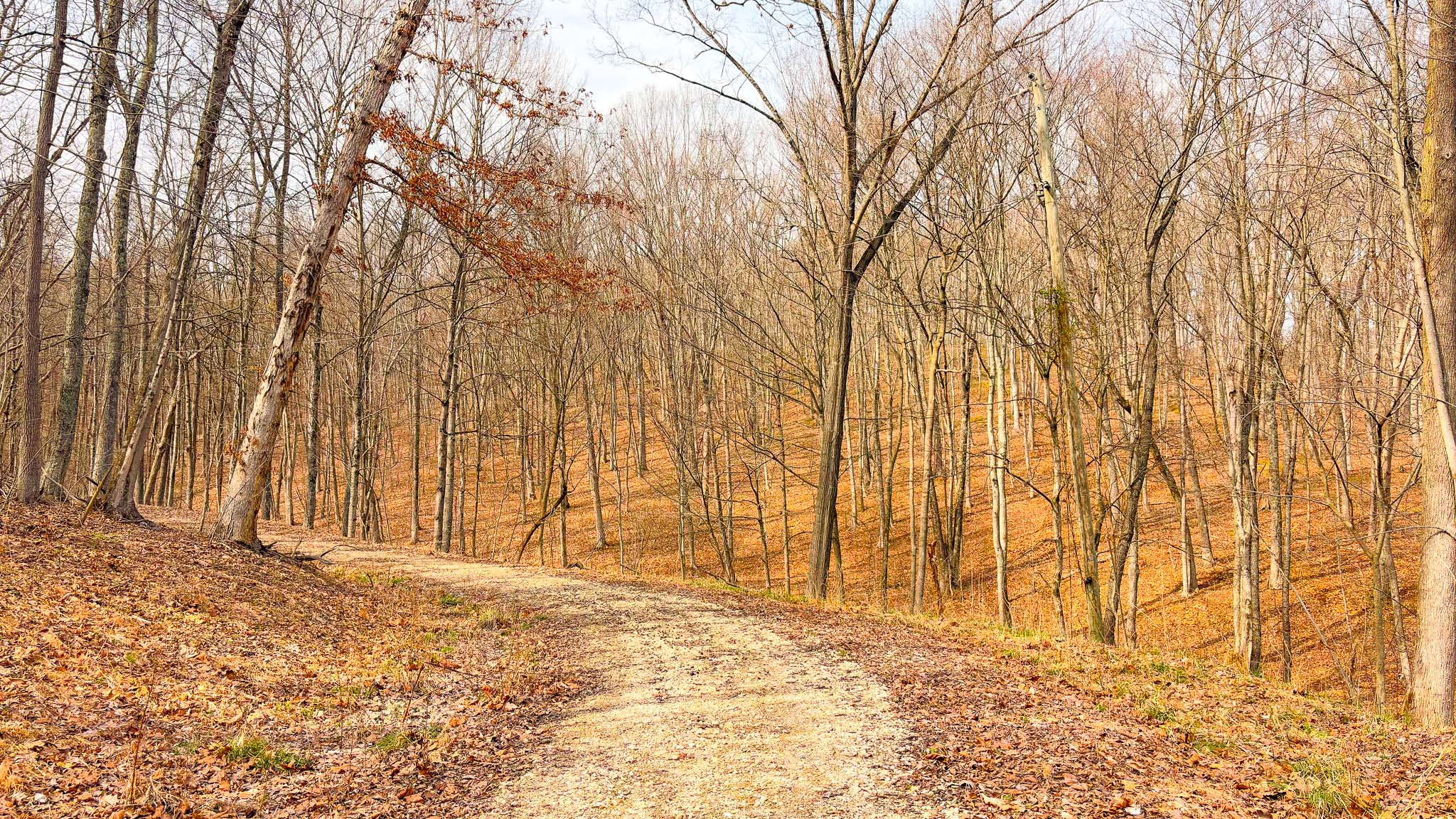 Trail system wooded acreage