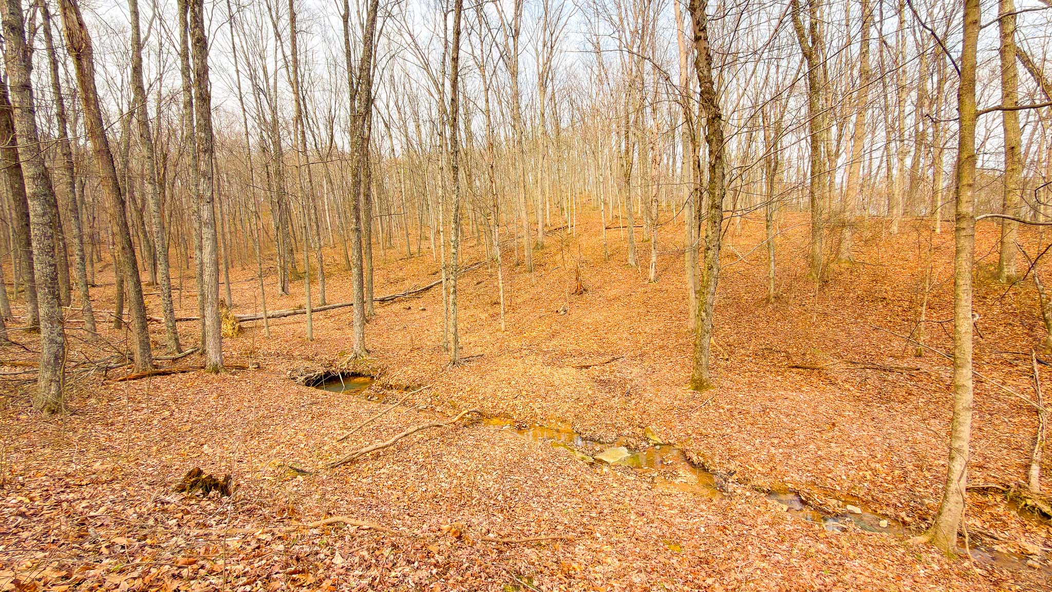 Southern Ohio hunting land