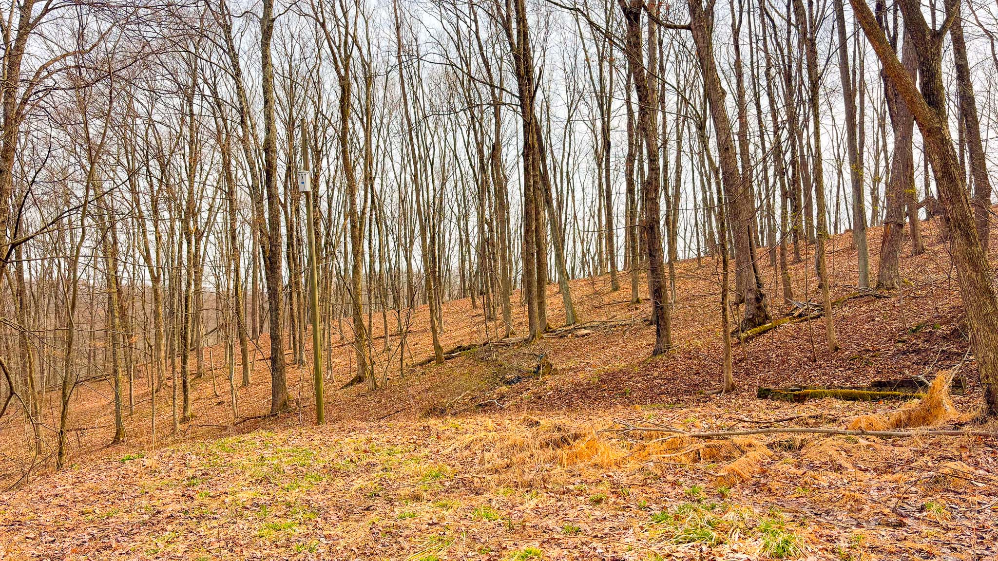 Prime deer hunting land Ohio