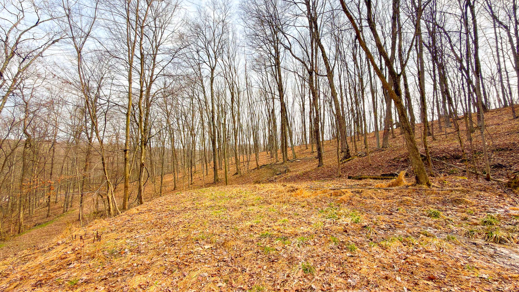 Big buck hunting property