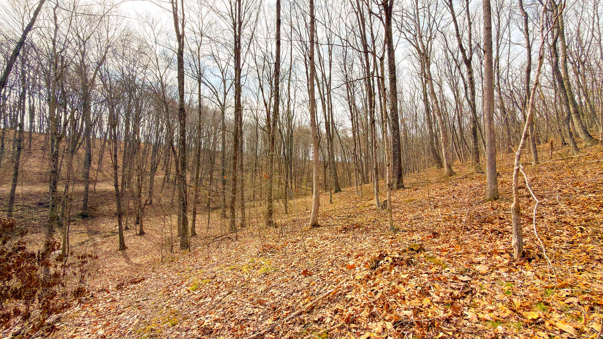 Strategic hunting setup area