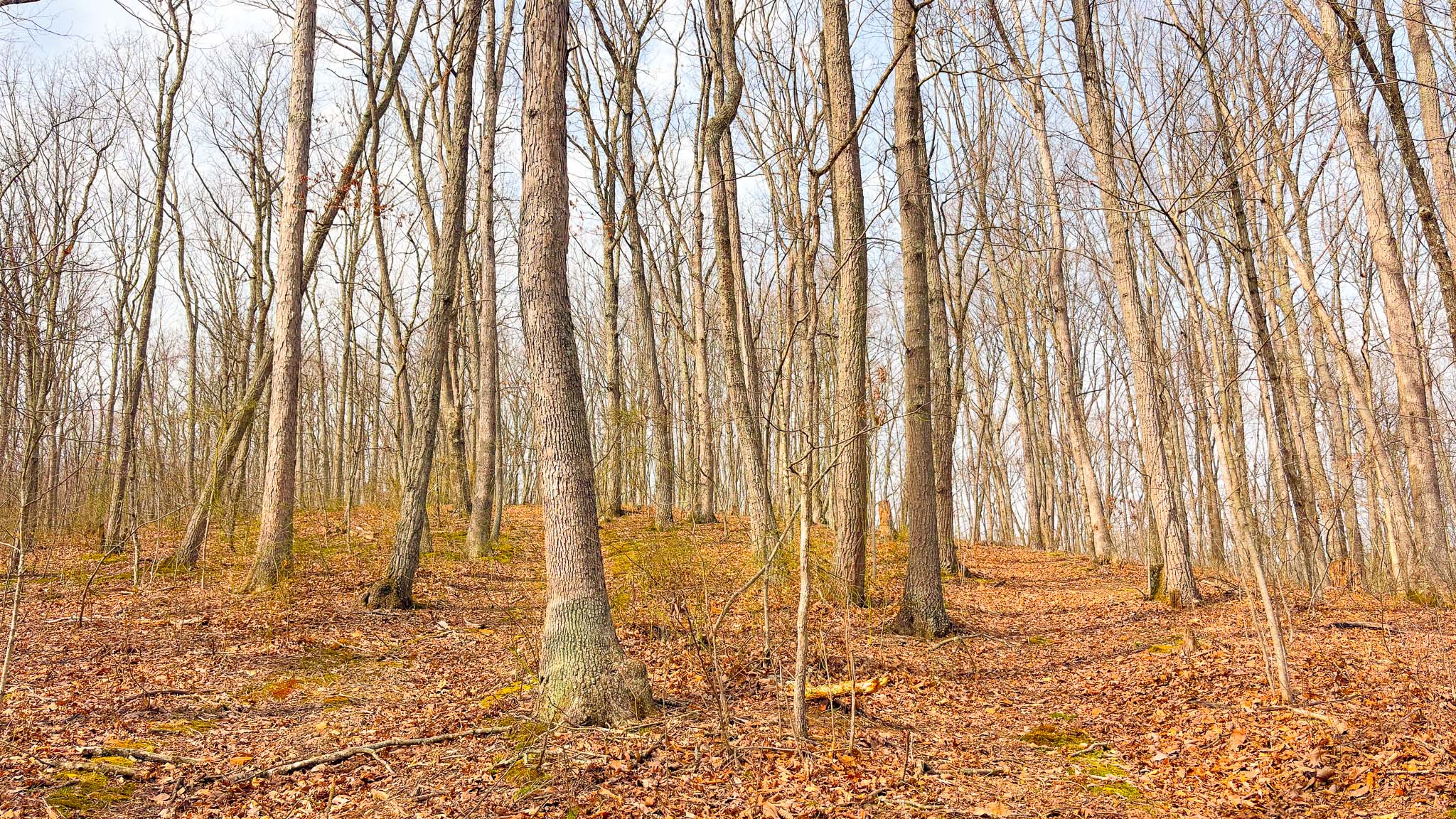 Private hunting retreat land