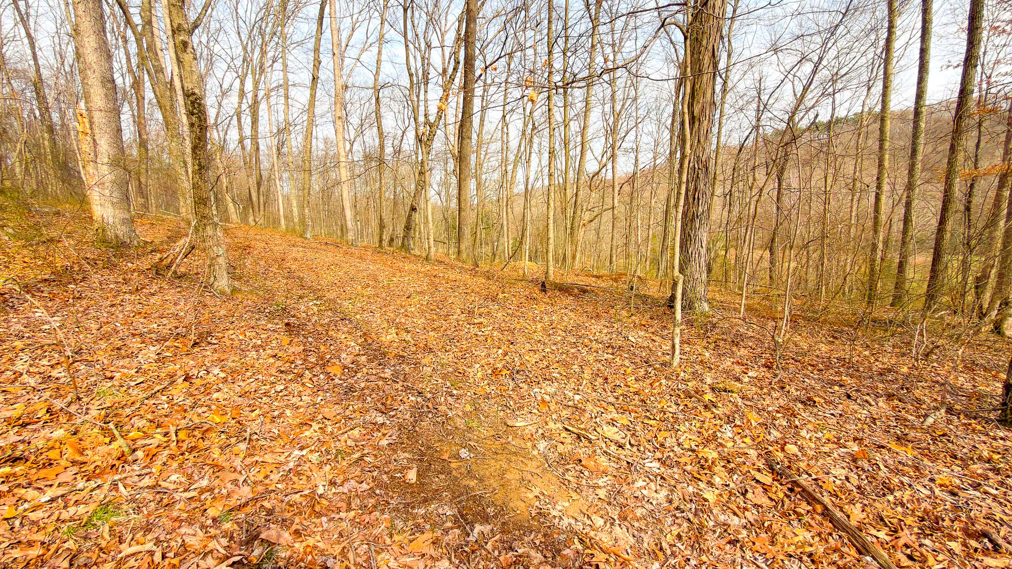 Scenic wooded hillside Ohio