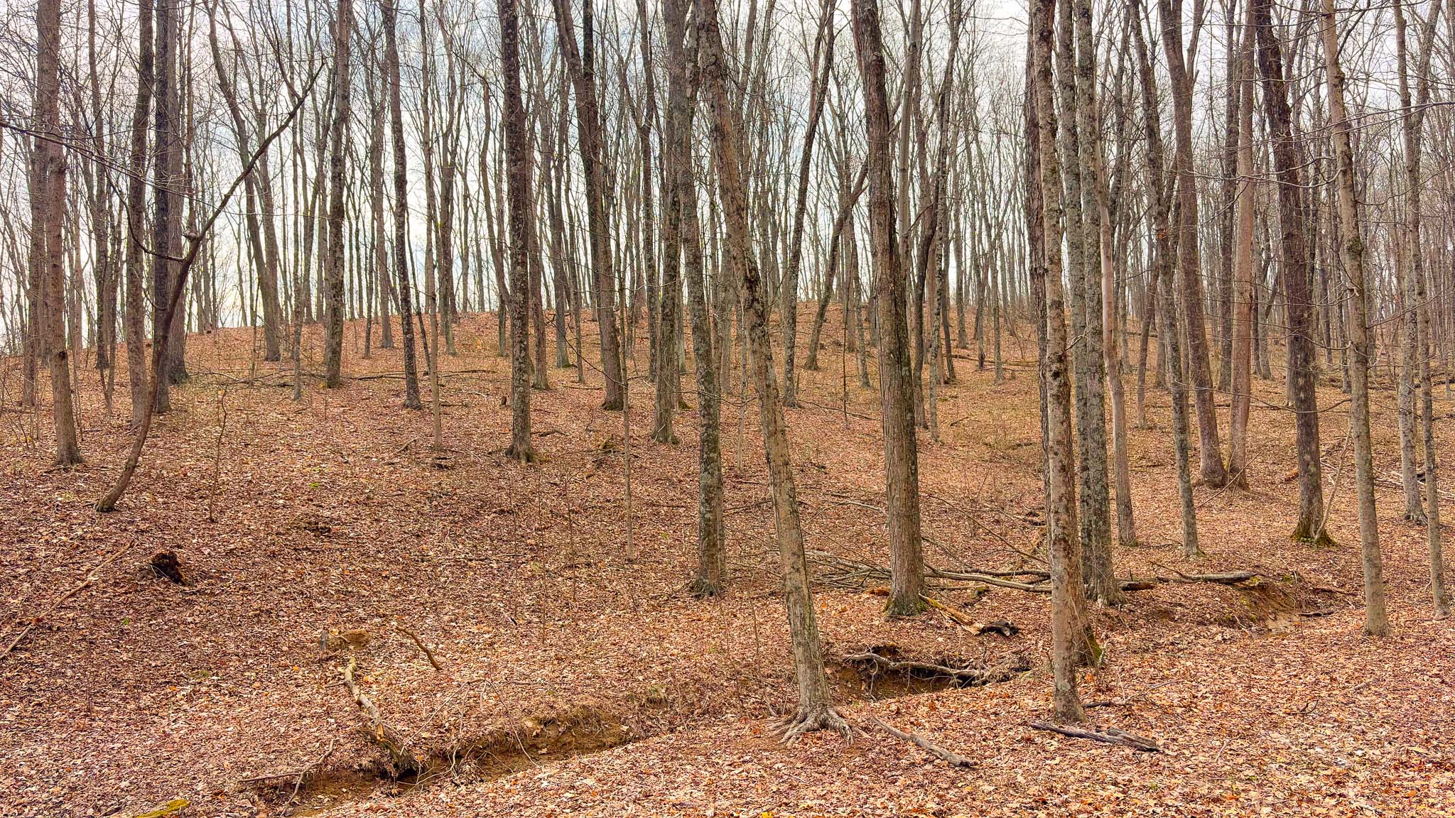 Private wooded acreage Ohio