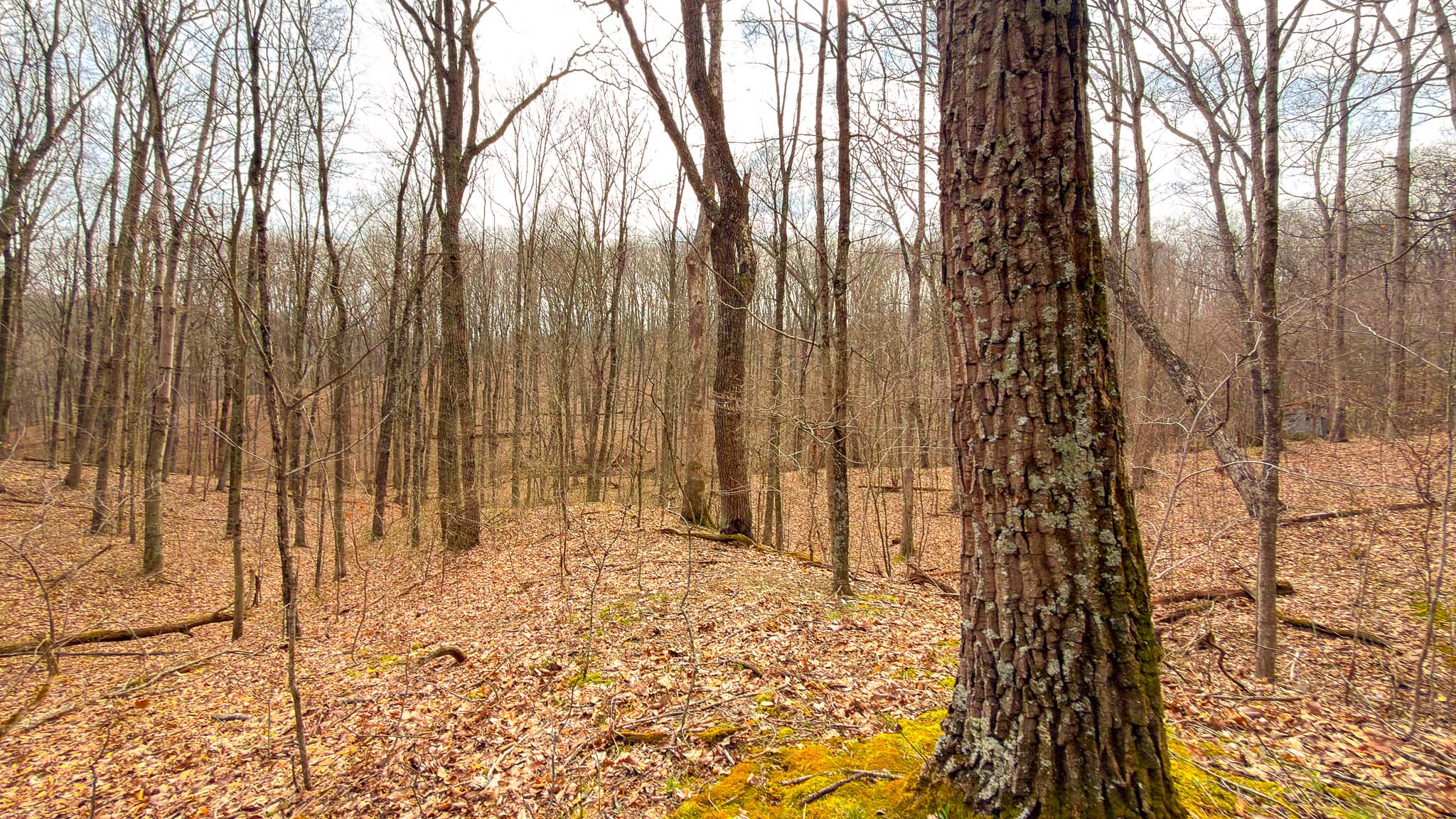 Rural property access road