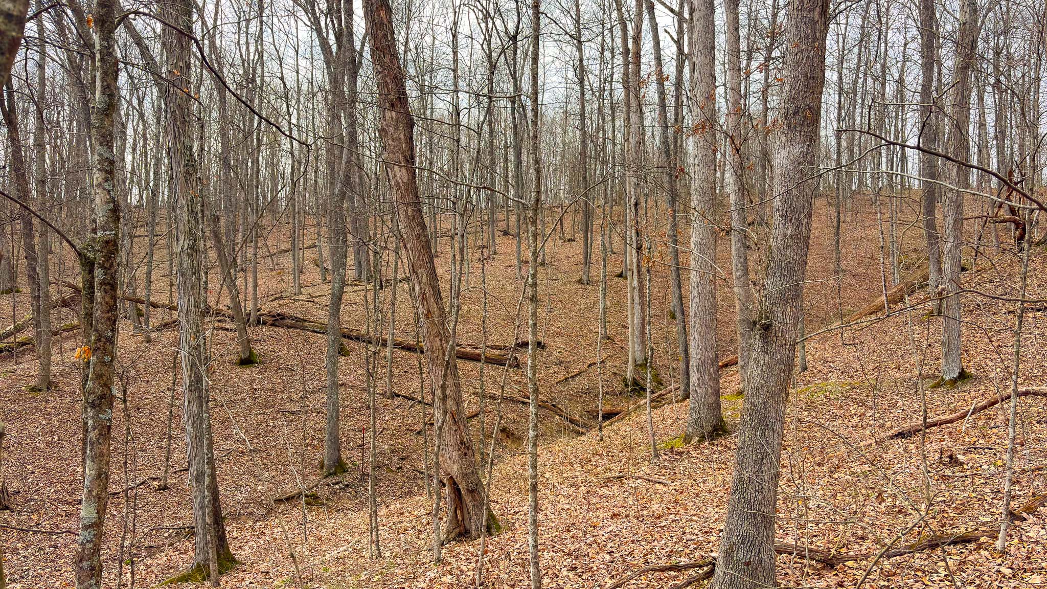 Road frontage property access