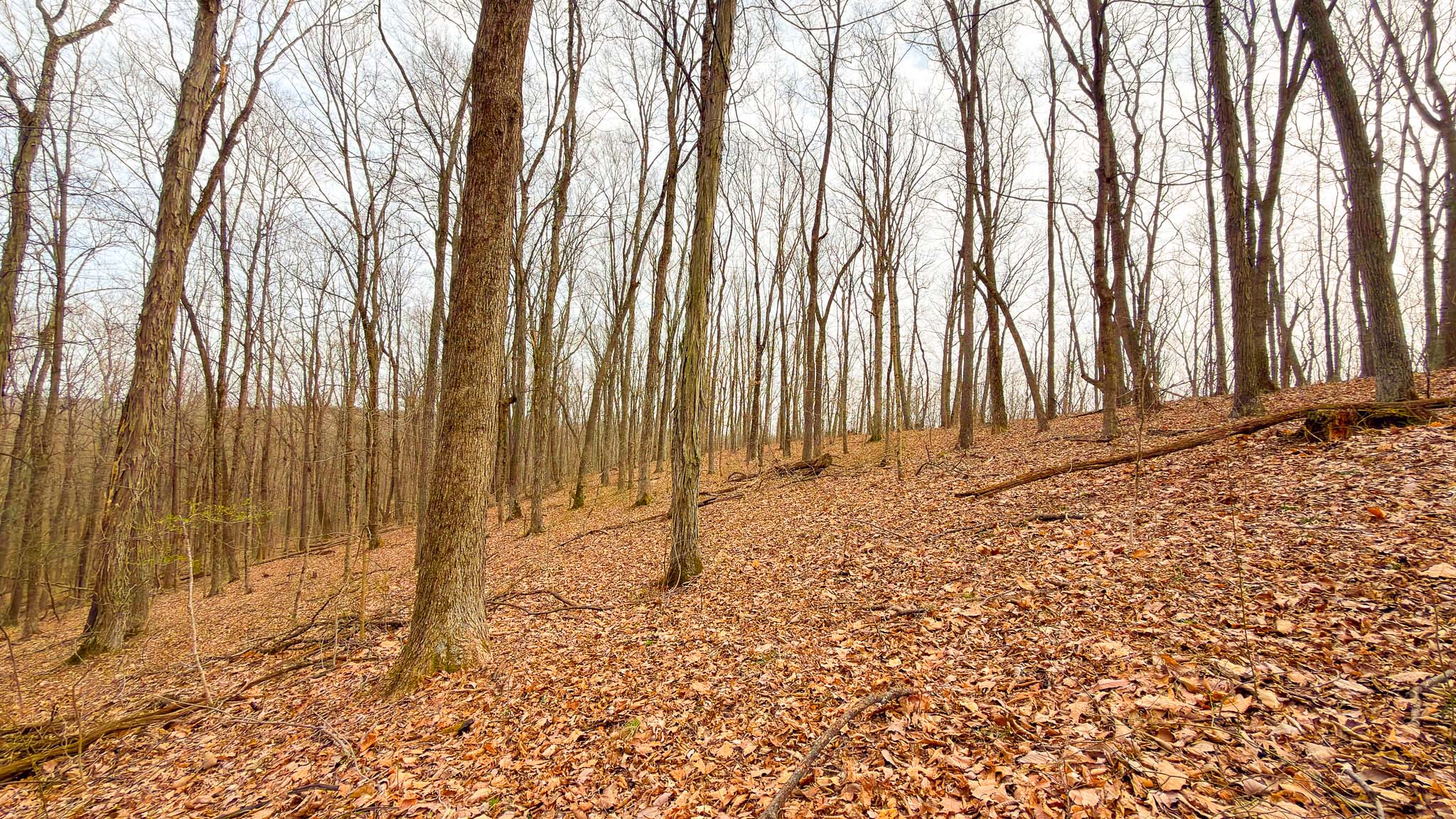 Convenient access near Chillicothe