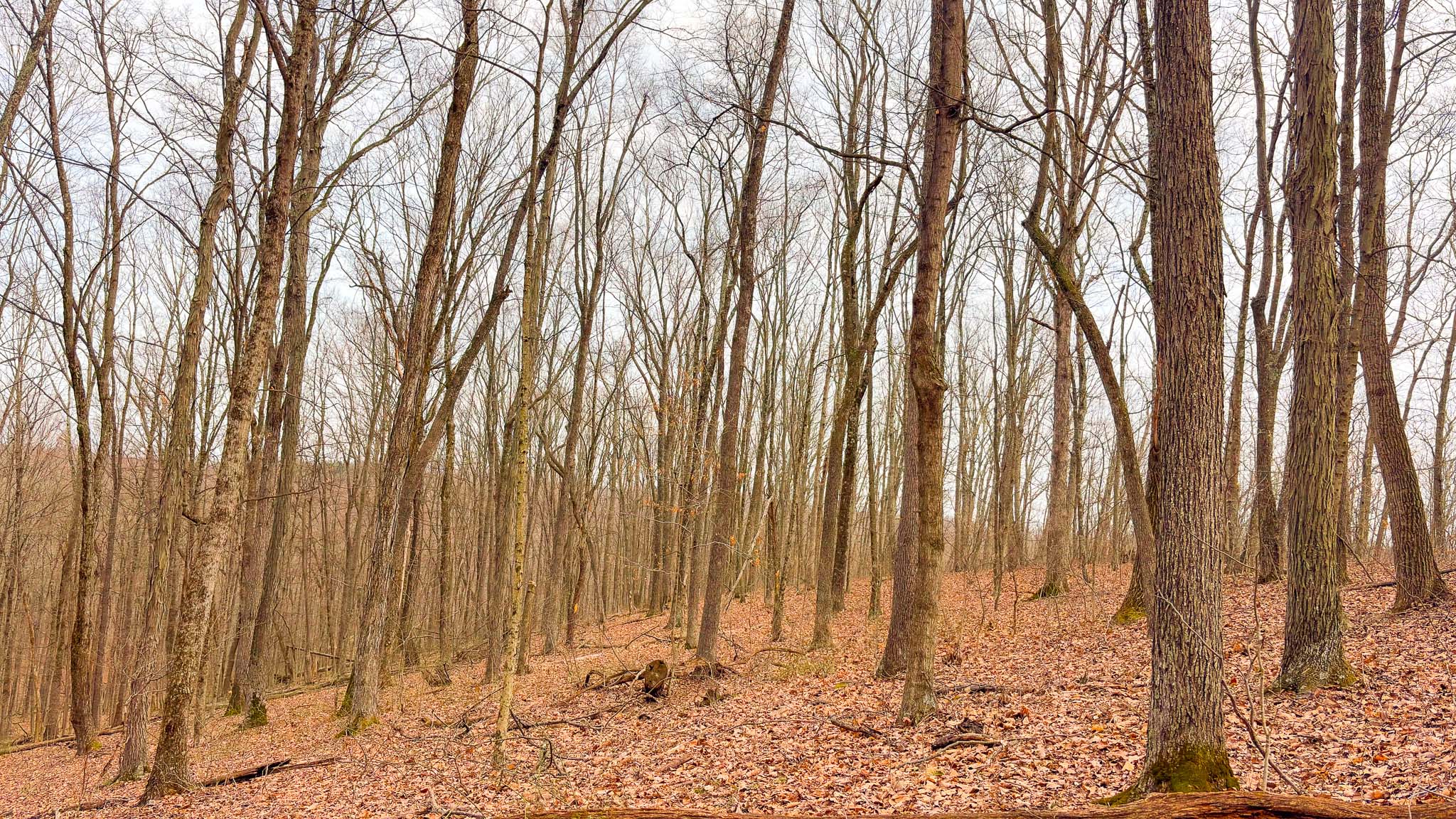 Quiet rural road Ross County
