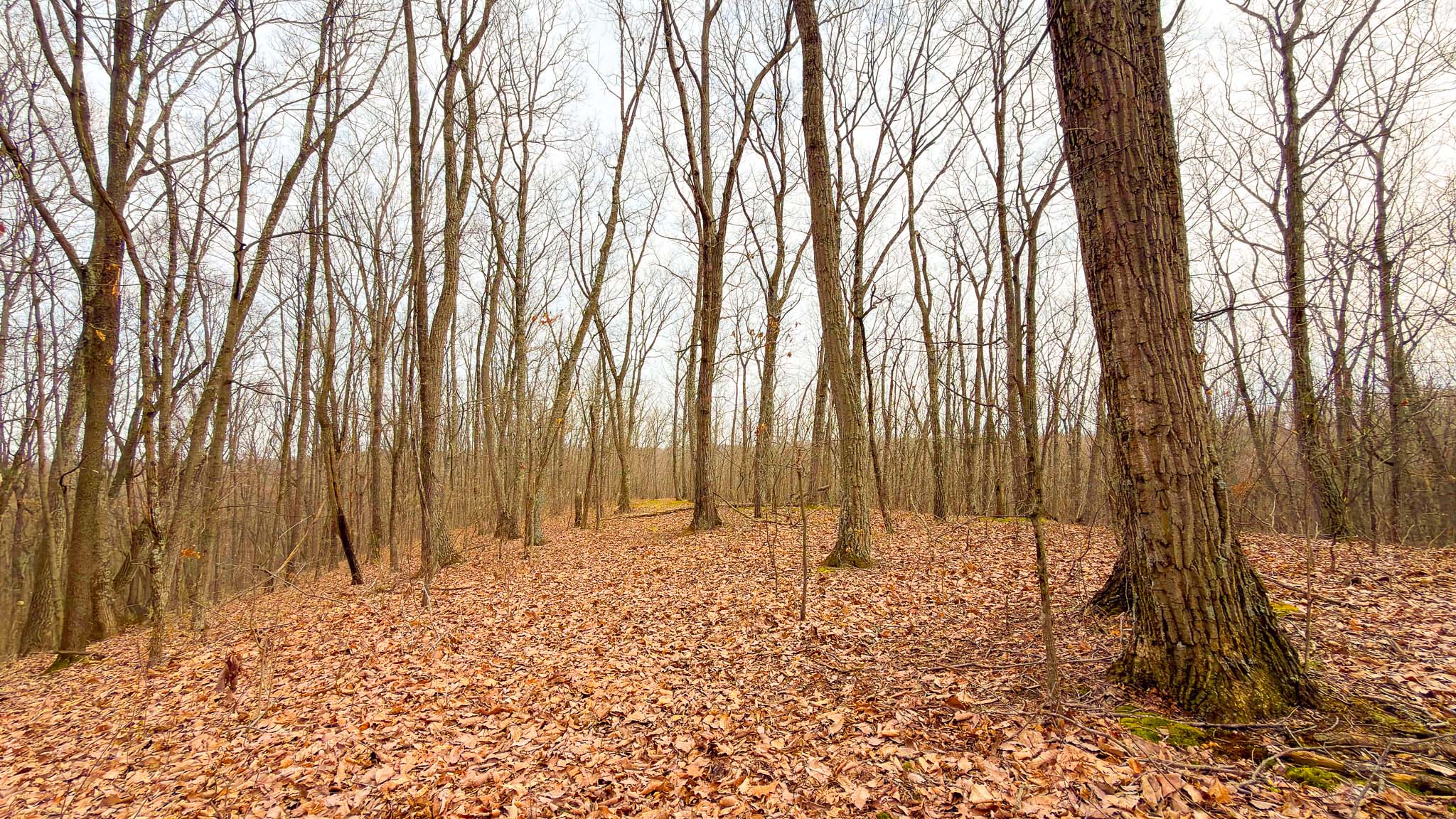 Accessible rural land Ohio