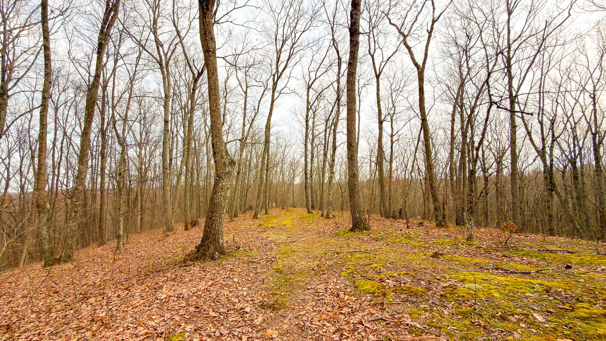 Driveway location opportunity