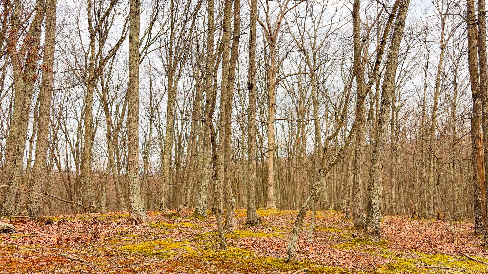 Recreational land with privacy