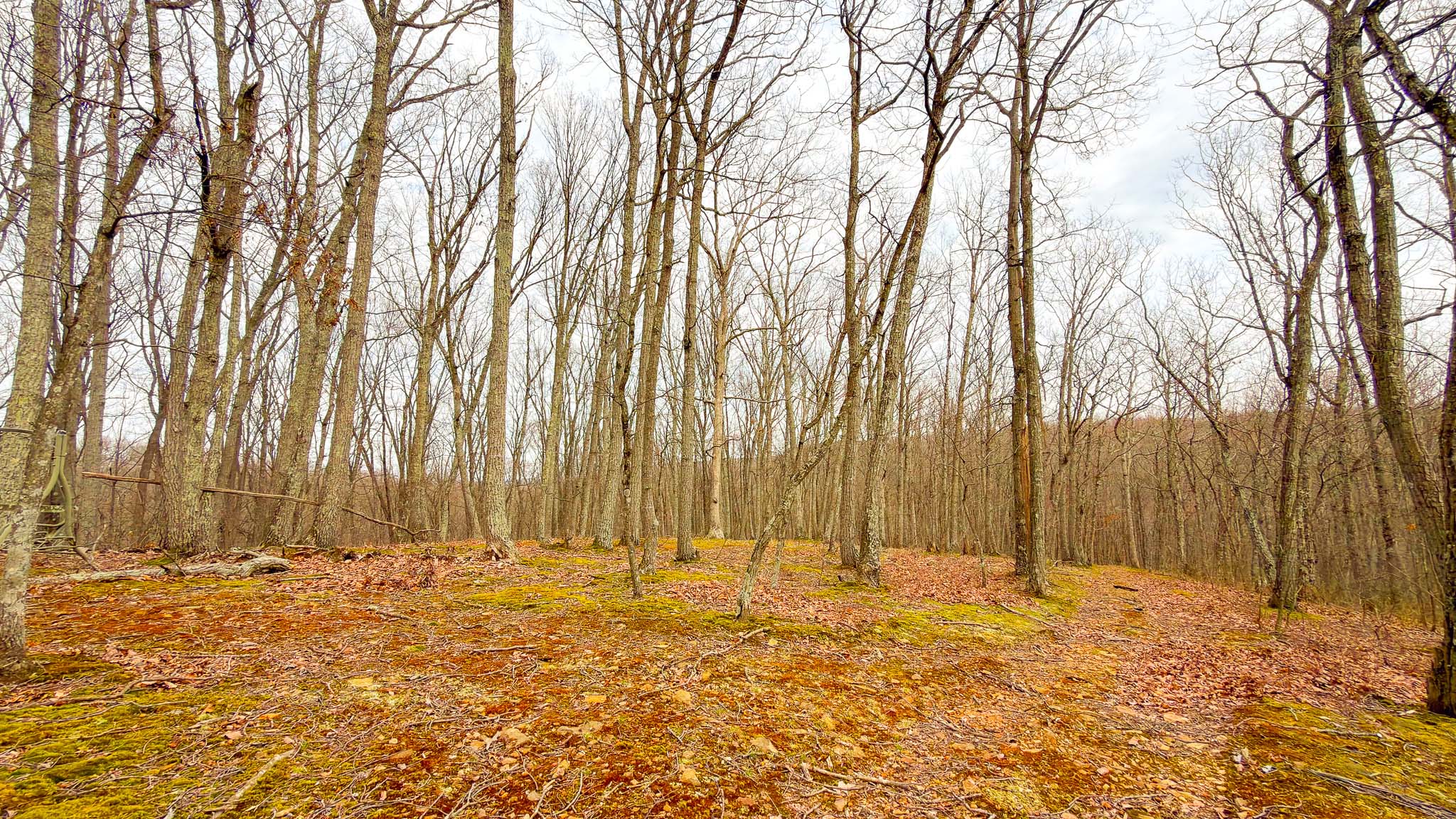 Southern Ohio wooded retreat