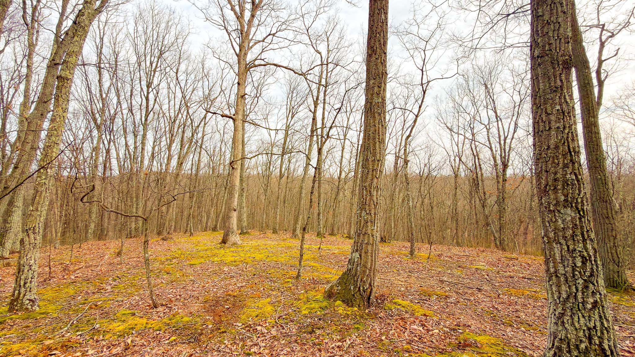 Private outdoor recreation land