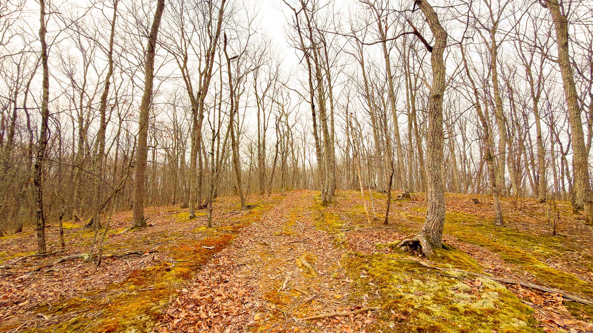 Ross County land overview