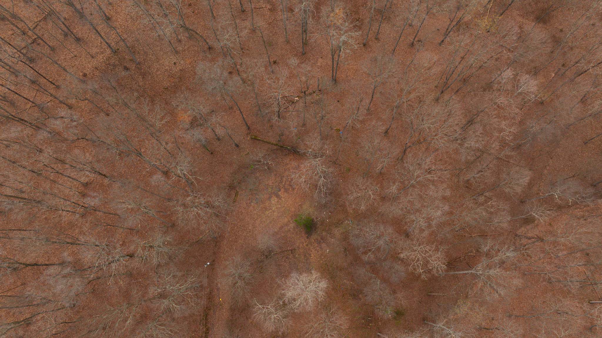 Wooded hillside terrain Ohio