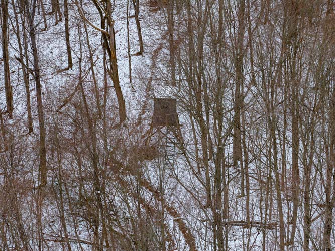 Rolling hardwood ridges ideal for deer movement on 37254 Rife Road Ohio land for sale