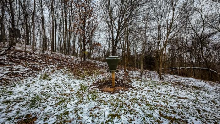 Turkey habitat and open understory at 37254 Rife Road property