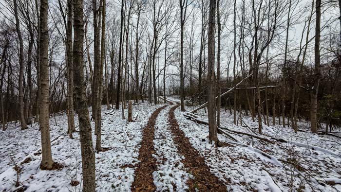Elevated blind overlooking food plot at 37254 Rife Road Meigs County Ohio