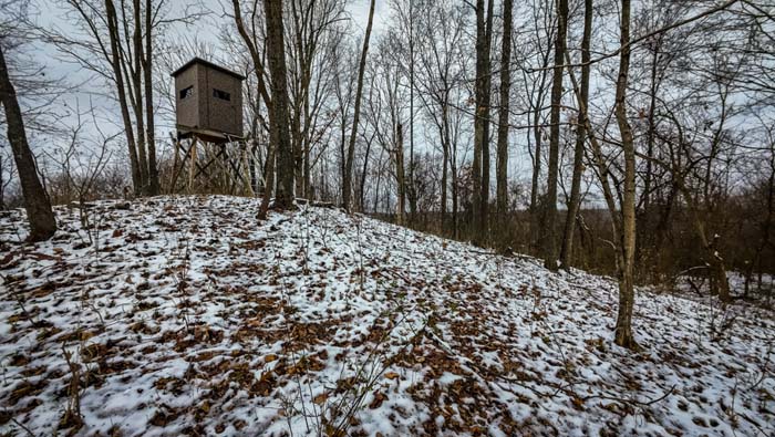 Trail intersection offering full access to ridges and bedding areas at Rife Road property