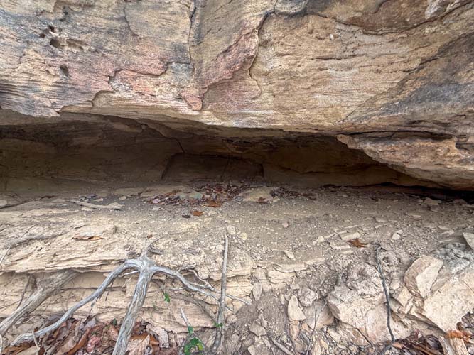 Creek crossing with natural habitat for deer and turkey on 37254 Rife Road farm