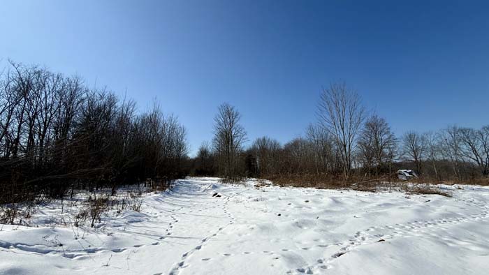 Quiet country road setting