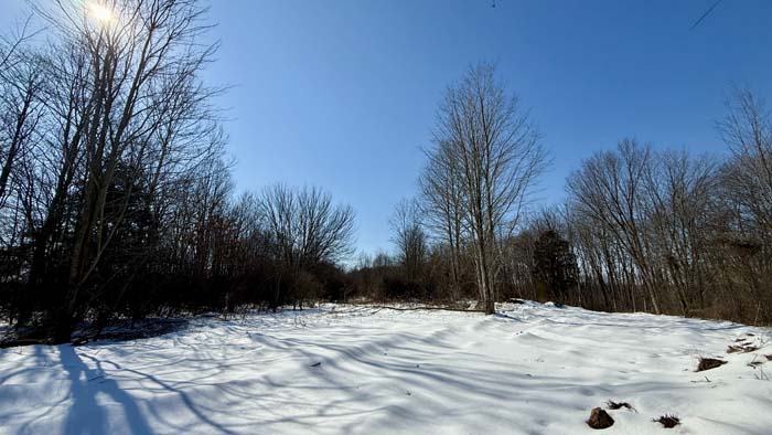 Existing septic on site