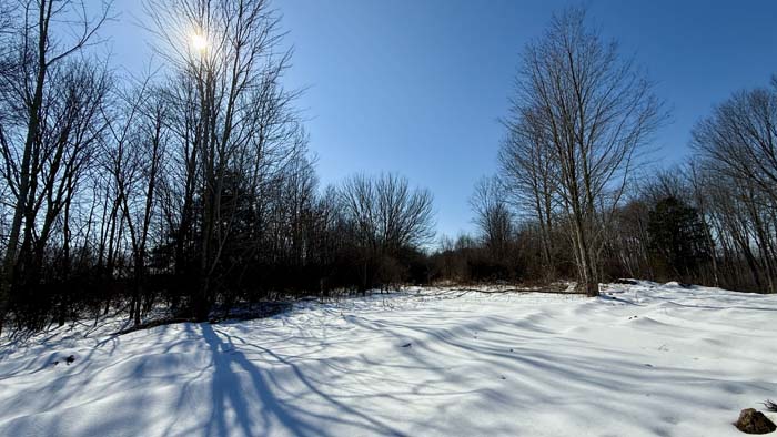Former pond location on land