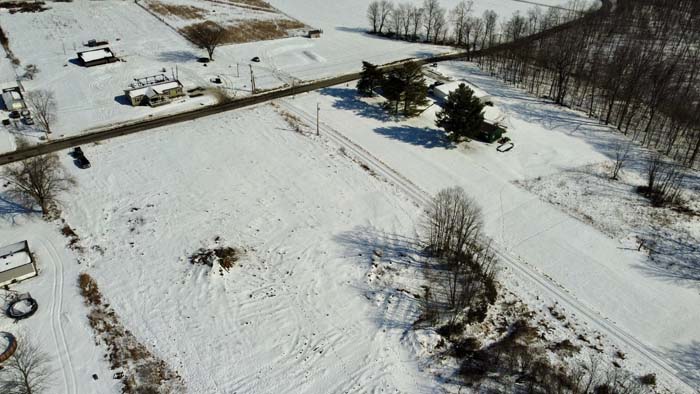 Timber cover for wildlife
