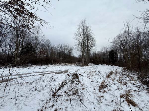 Secluded build site options