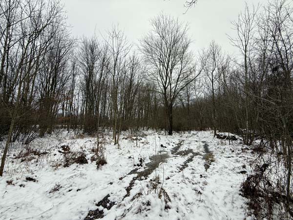 No deed restrictions property