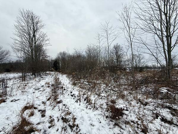 Seller mineral rights convey