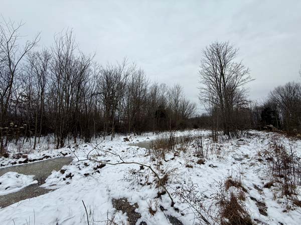 Northern Pike County countryside