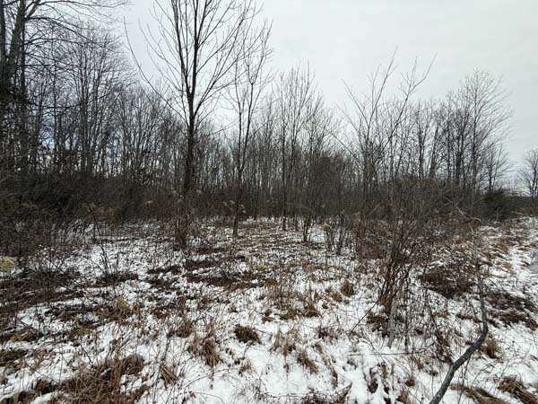 Easy access rural acreage