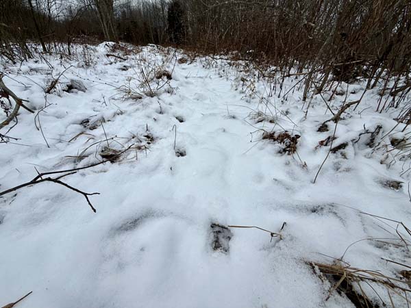 Large acreage feel parcel