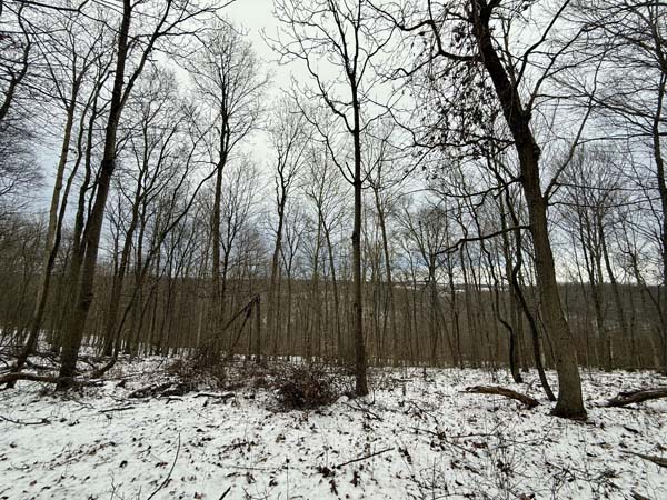 Outdoor recreation land Ohio