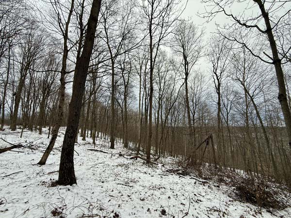 Close to Pike State Forest