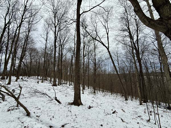 Minutes from Waverly Ohio